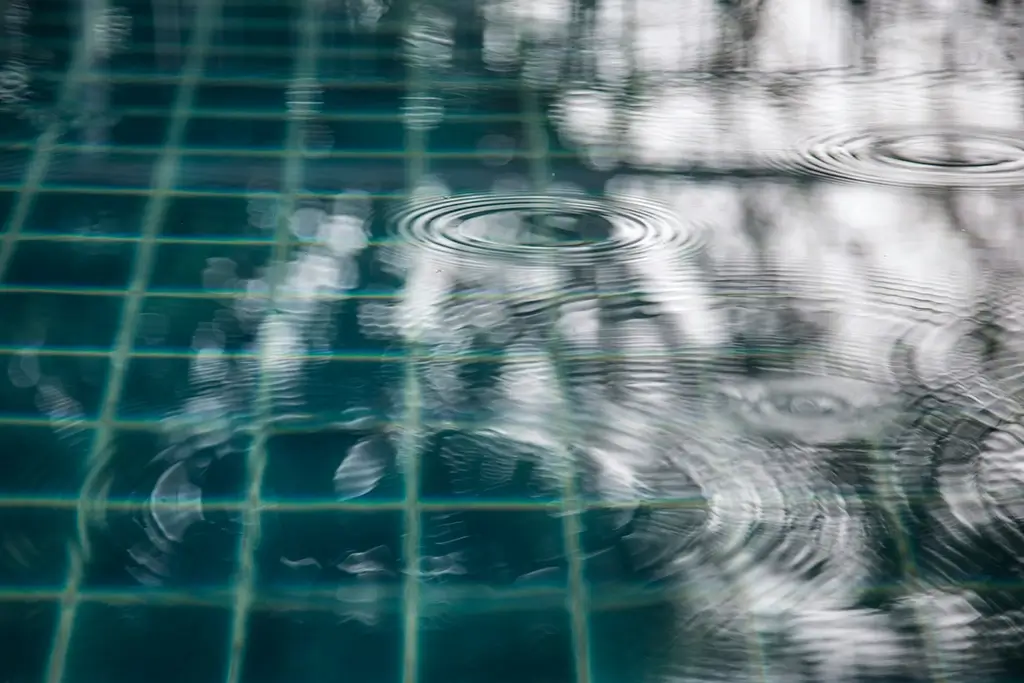 pool algae tucson monsoon season guide