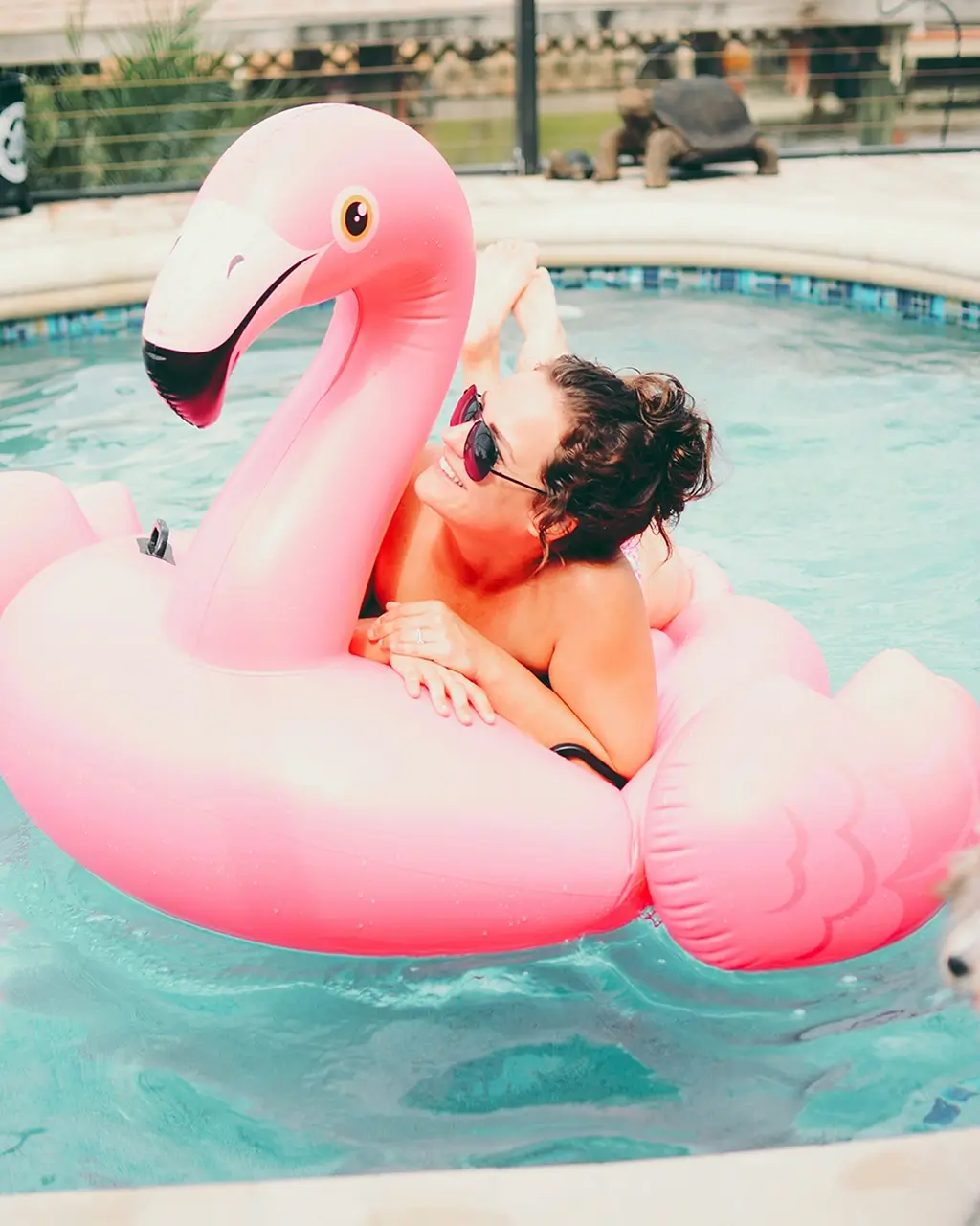 Key Elements of Swimming Pool Chemistry Key Elements of Swimming Pool Chemistry